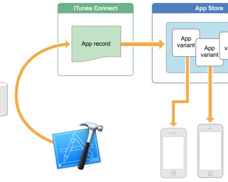 Функция App Thinning сократит количество места, требующегося iOS-приложениям