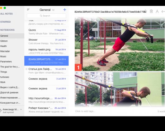 Alternote — идеальный клиент для Evernote (Mac)