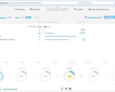 Нирвана для сеошника — SeoBrain
