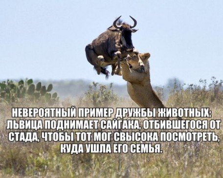 Интернет против телевидения: как перестать верить и начать думать?